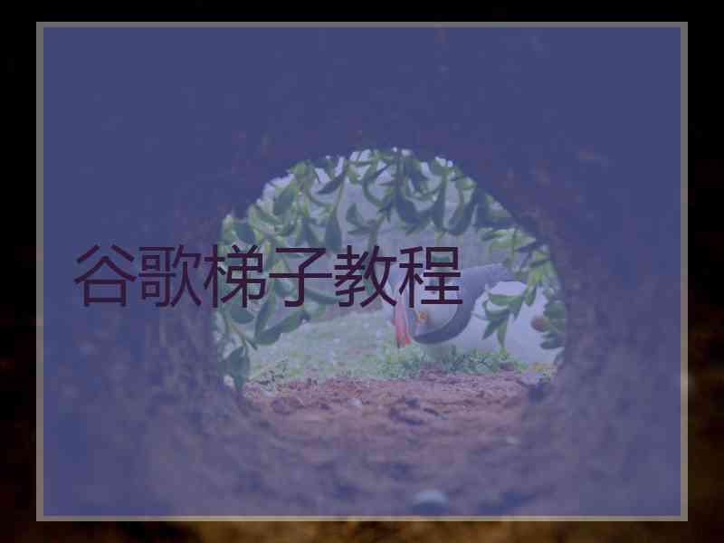 谷歌梯子教程