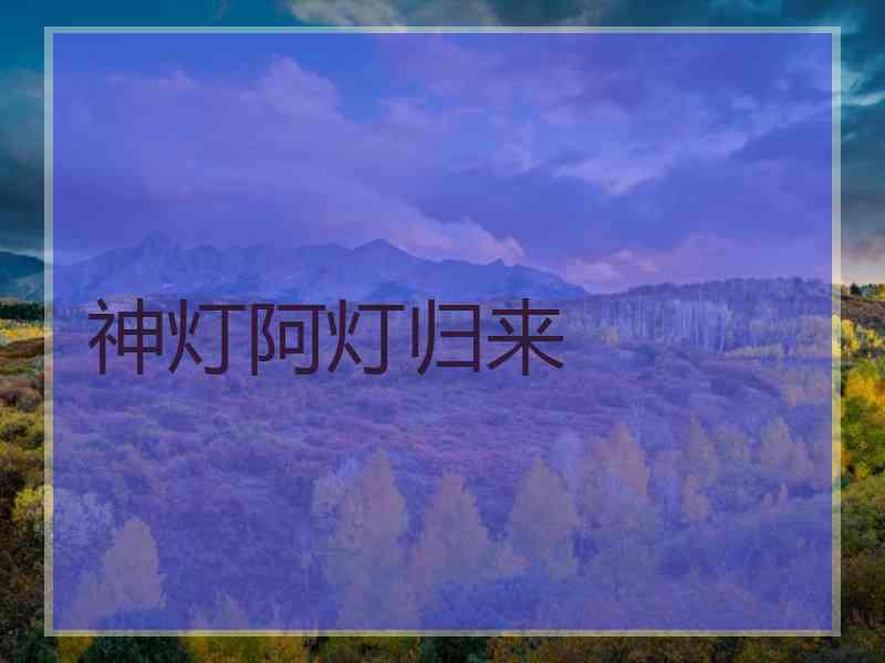 神灯阿灯归来
