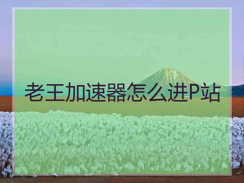 老王加速器怎么进P站