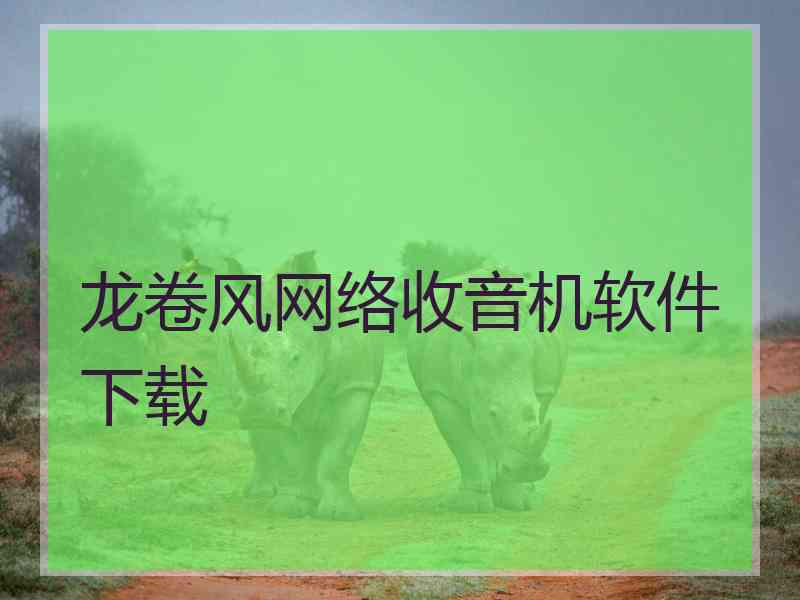 龙卷风网络收音机软件下载
