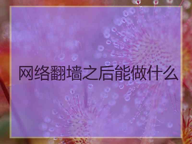 网络翻墙之后能做什么