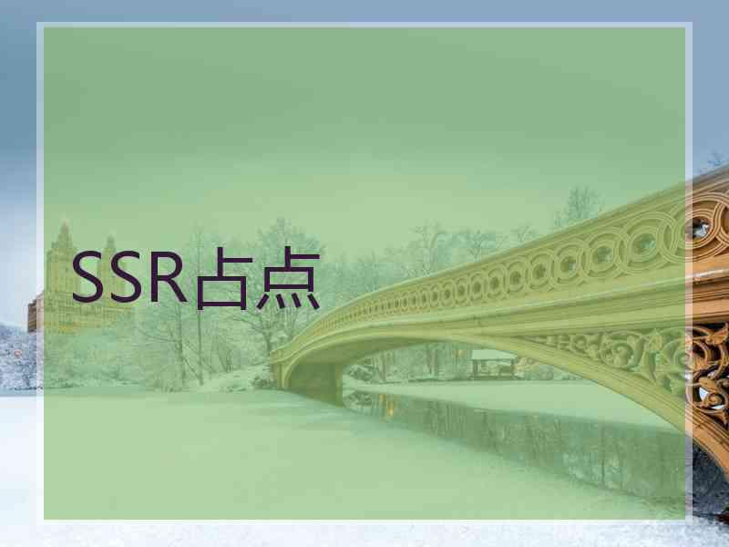 SSR占点