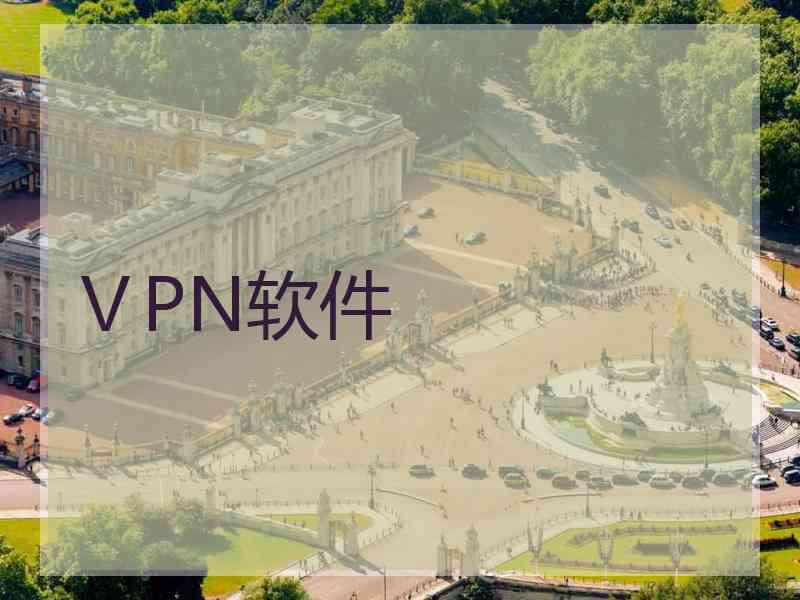 ⅤPN软件