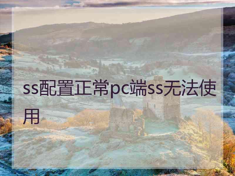 ss配置正常pc端ss无法使用