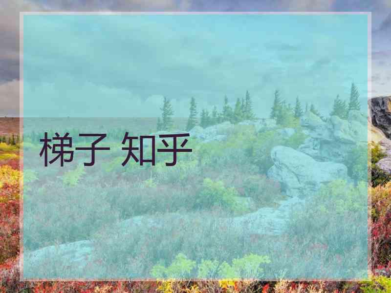 梯子 知乎