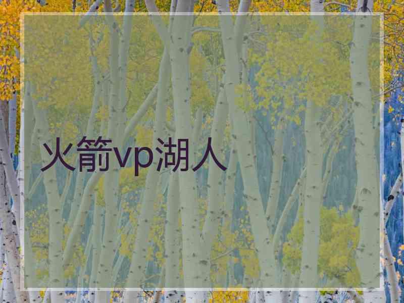 火箭vp湖人