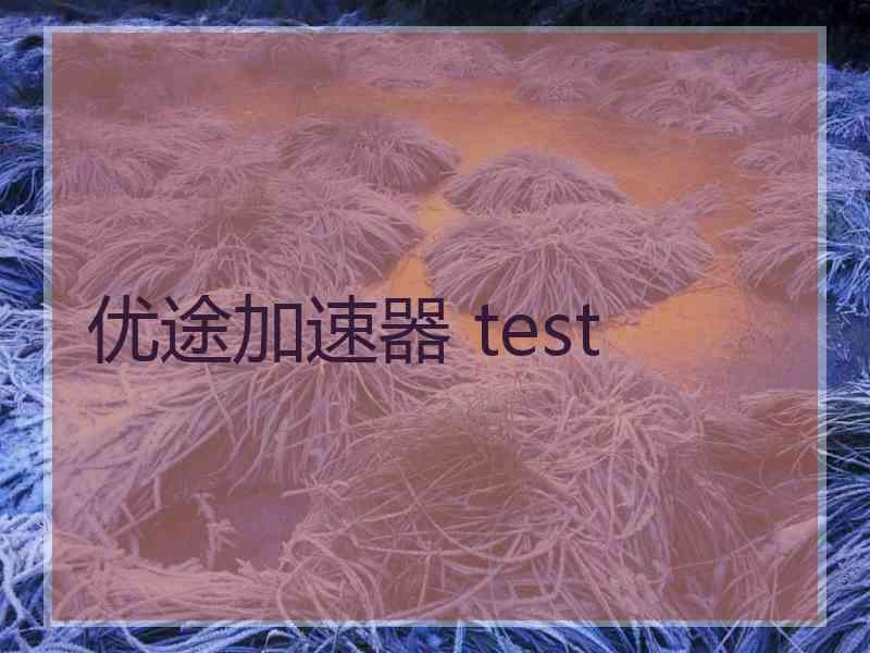 优途加速器 test