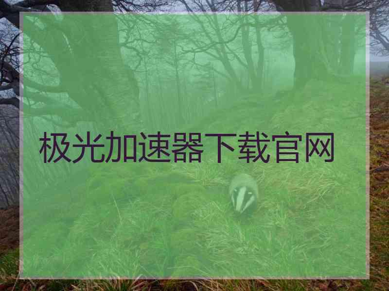 极光加速器下载官网