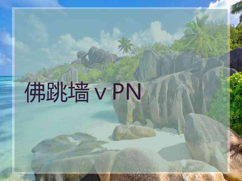 佛跳墙ⅴPN
