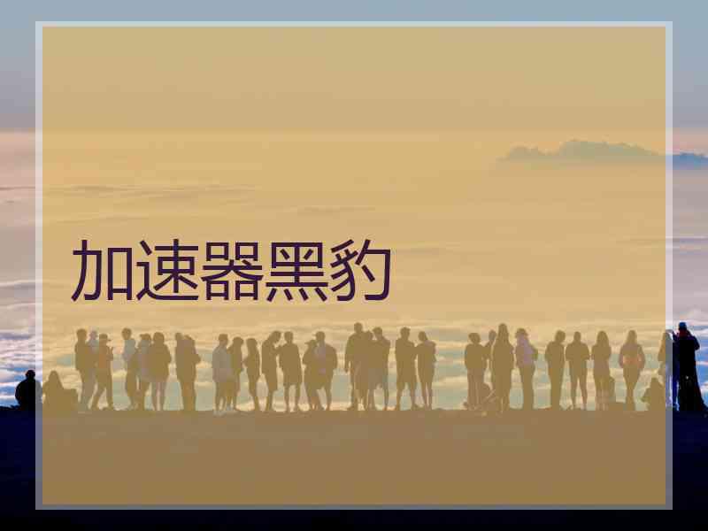 加速器黑豹