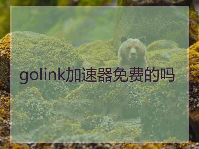 golink加速器免费的吗