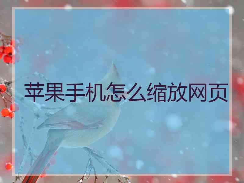 苹果手机怎么缩放网页