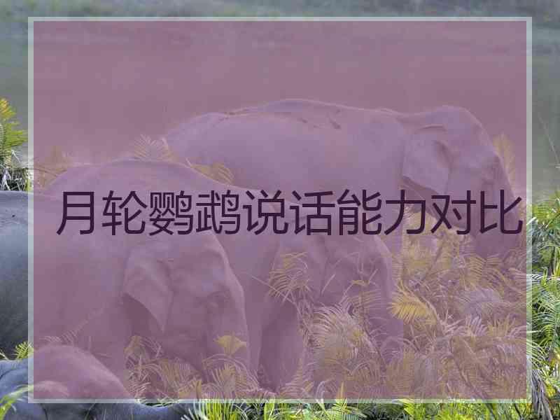 月轮鹦鹉说话能力对比