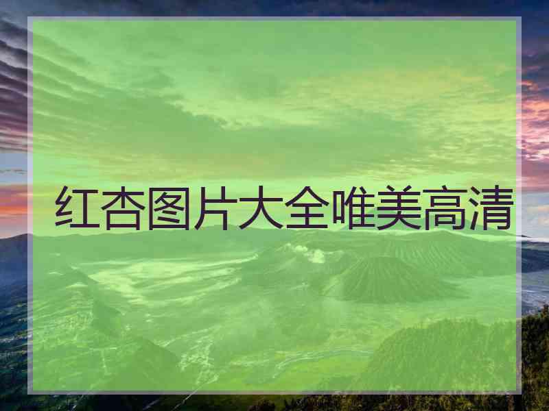 红杏图片大全唯美高清