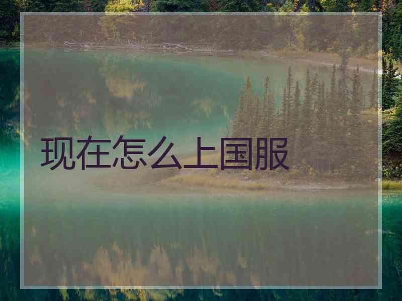 现在怎么上国服