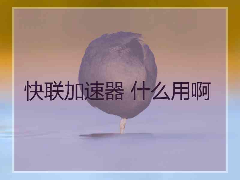 快联加速器 什么用啊