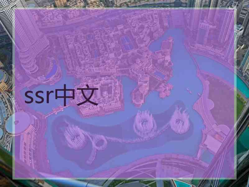 ssr中文