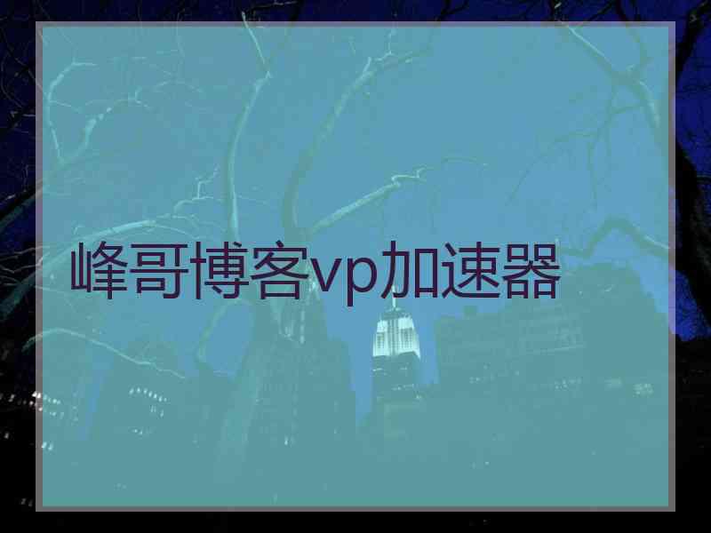 峰哥博客vp加速器