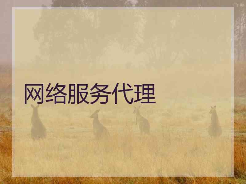 网络服务代理