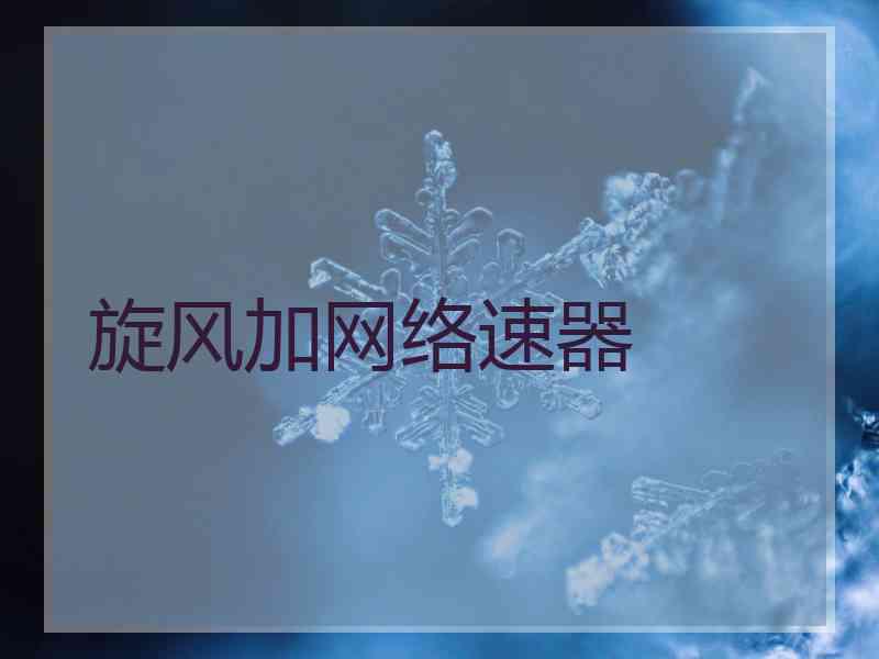 旋风加网络速器