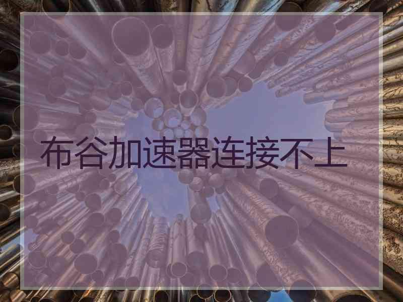 布谷加速器连接不上