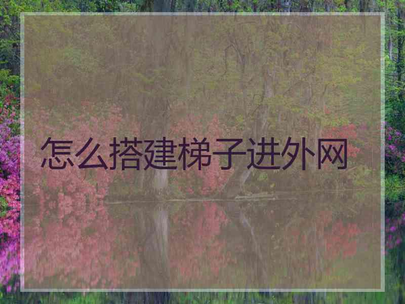 怎么搭建梯子进外网