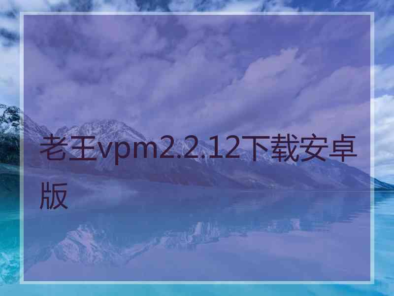 老王vpm2.2.12下载安卓版