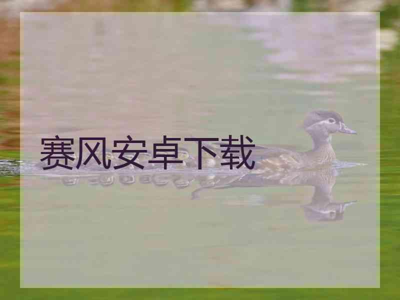 赛风安卓下载