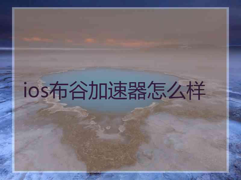ios布谷加速器怎么样