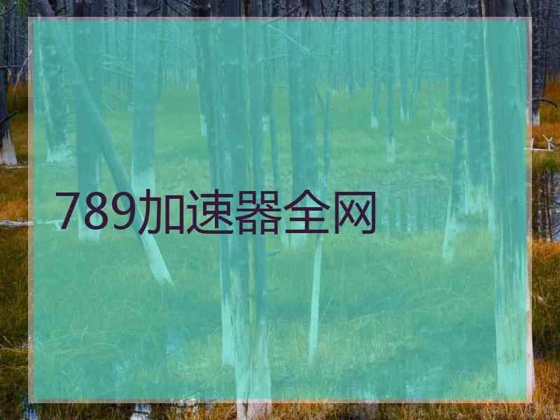 789加速器全网