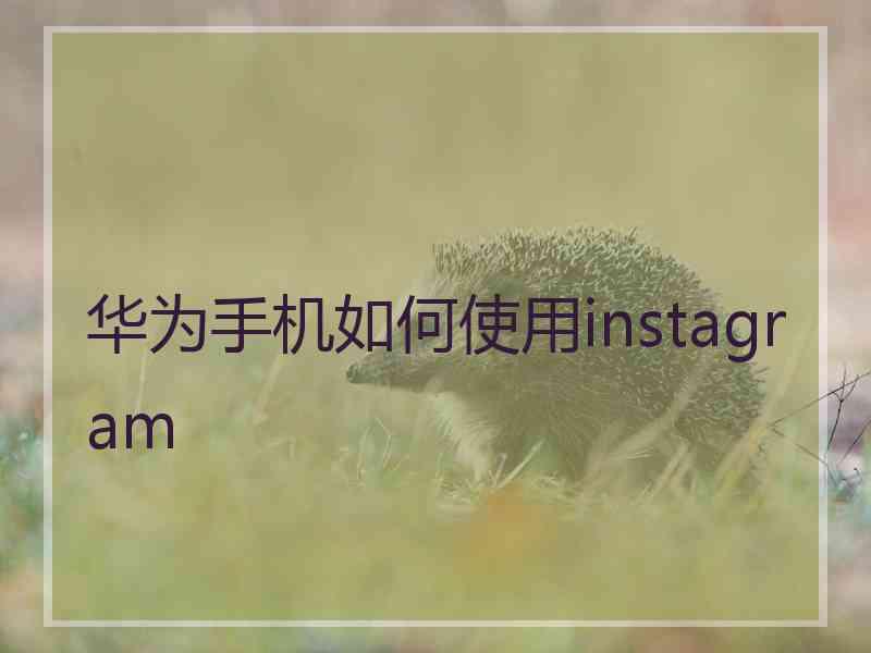 华为手机如何使用instagram