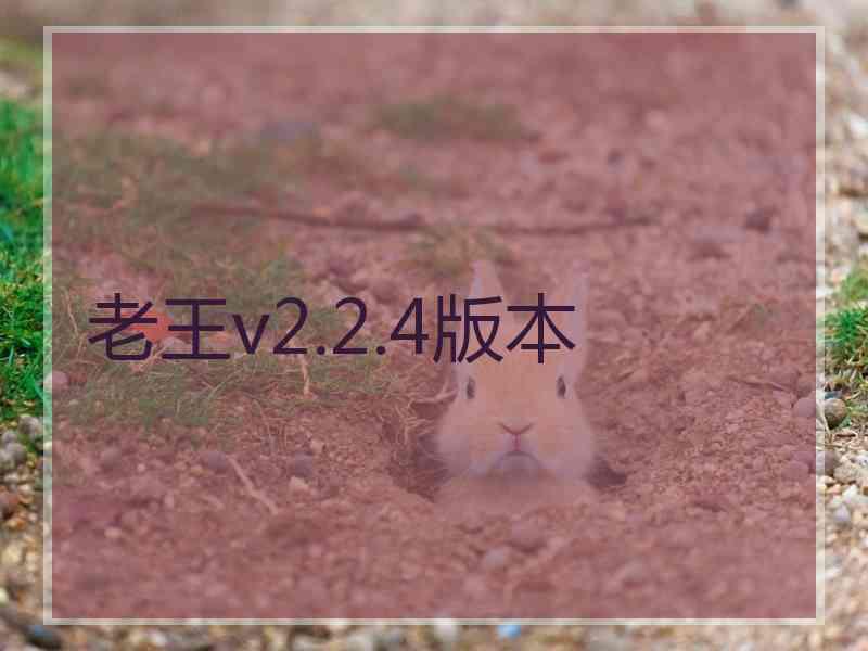 老王v2.2.4版本