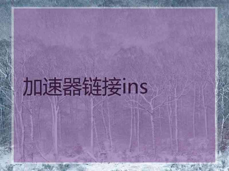 加速器链接ins