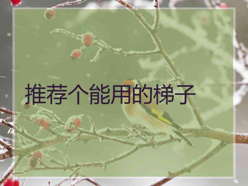 推荐个能用的梯子