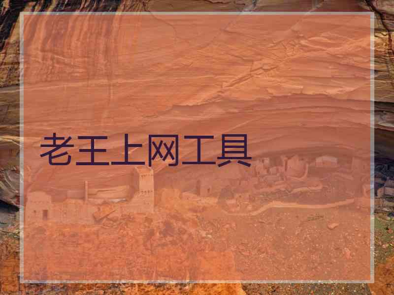 老王上网工具