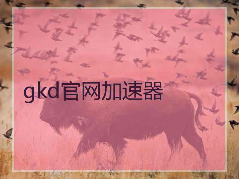 gkd官网加速器