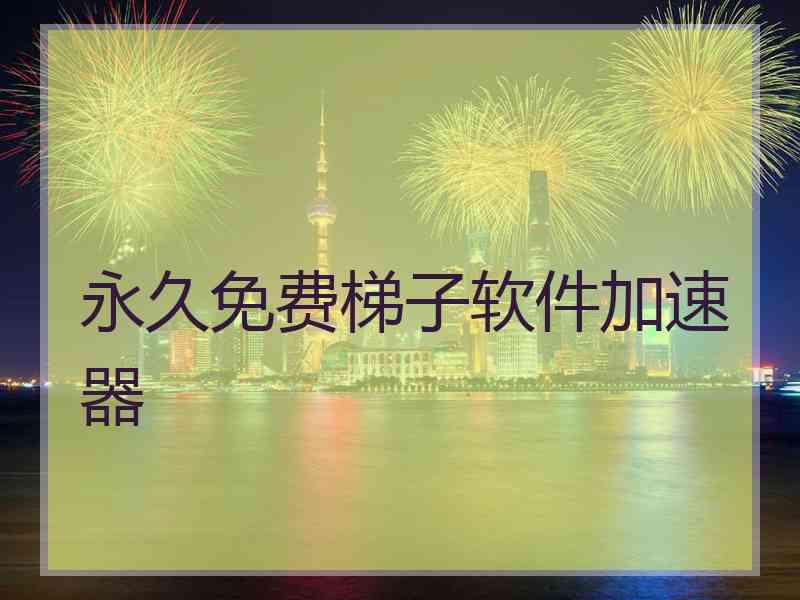 永久免费梯子软件加速器