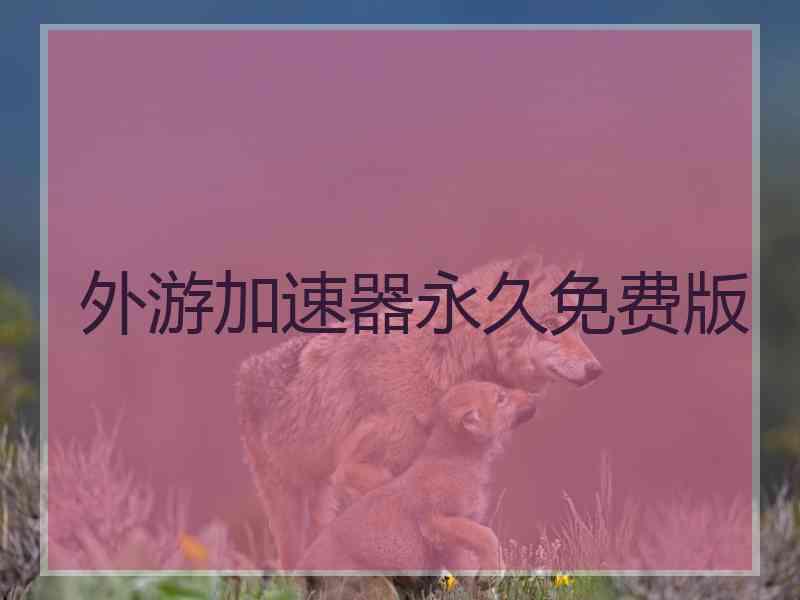 外游加速器永久免费版
