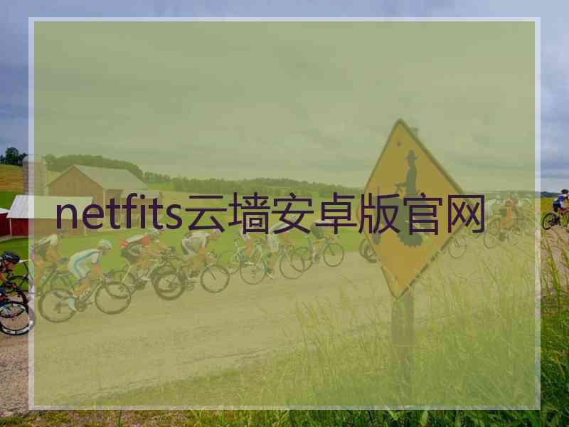 netfits云墙安卓版官网