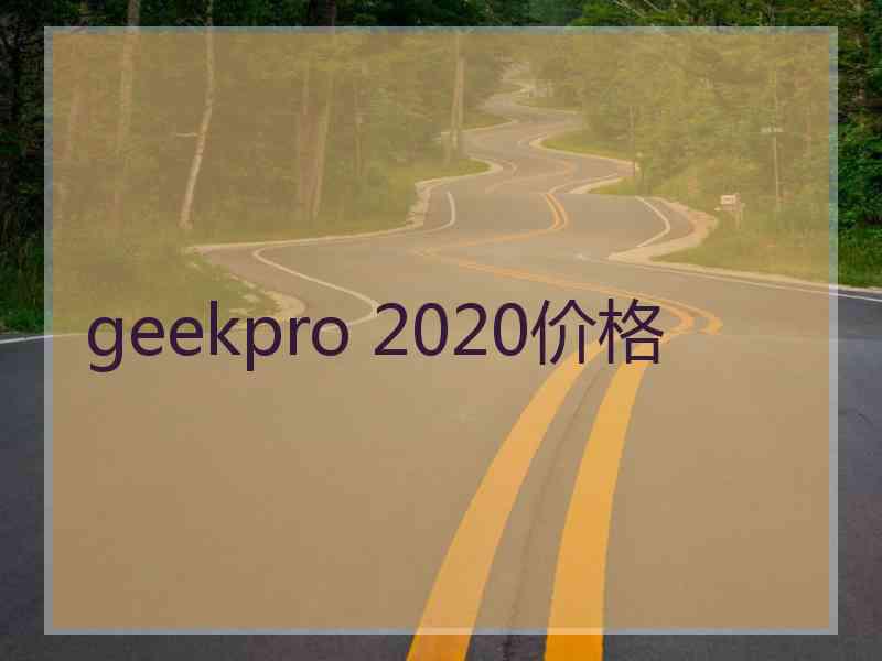 geekpro 2020价格