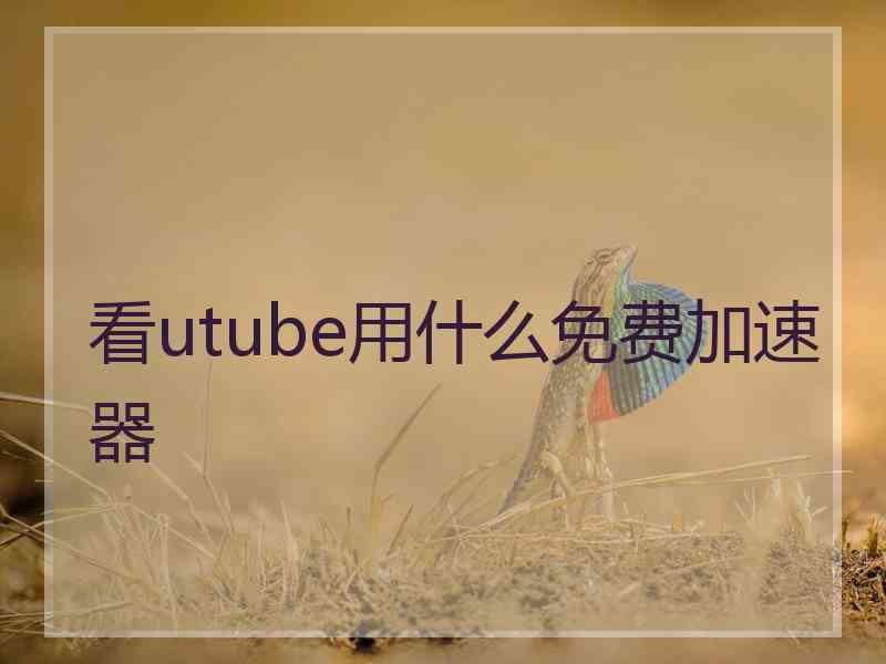 看utube用什么免费加速器