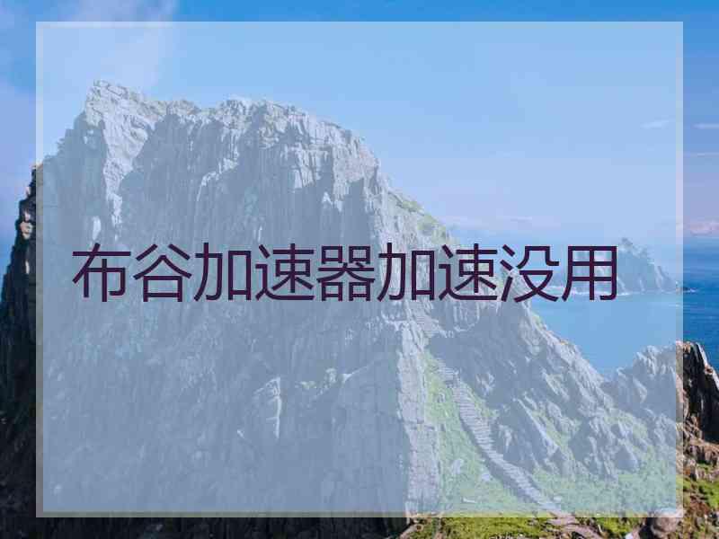 布谷加速器加速没用