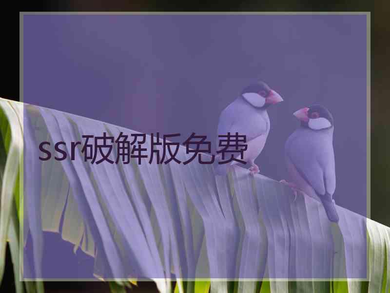 ssr破解版免费
