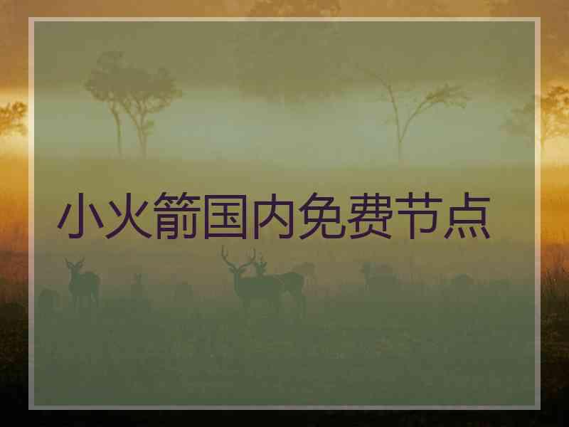 小火箭国内免费节点