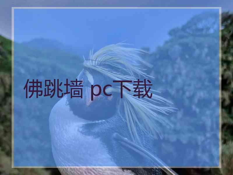 佛跳墙 pc下载