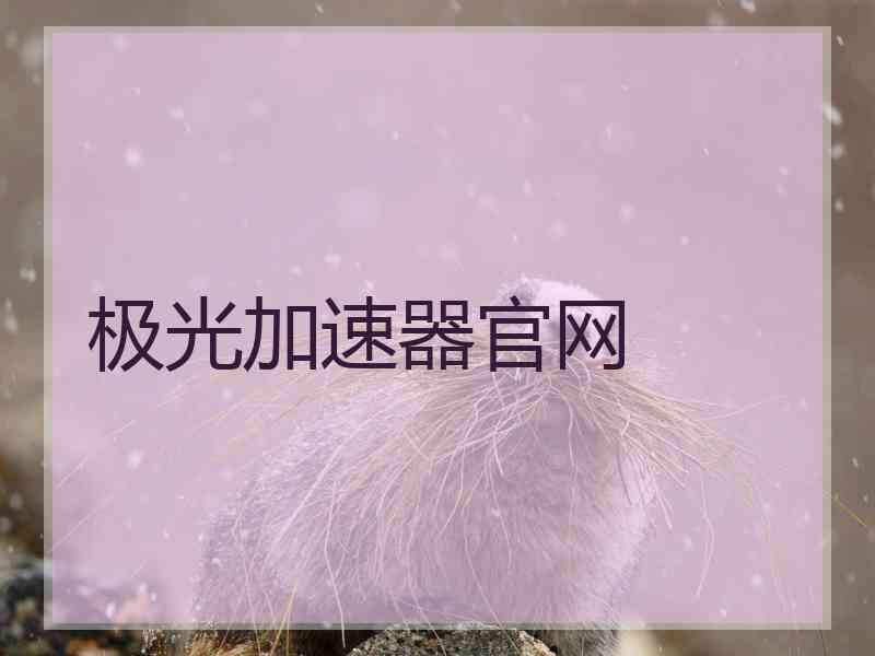 极光加速器官网