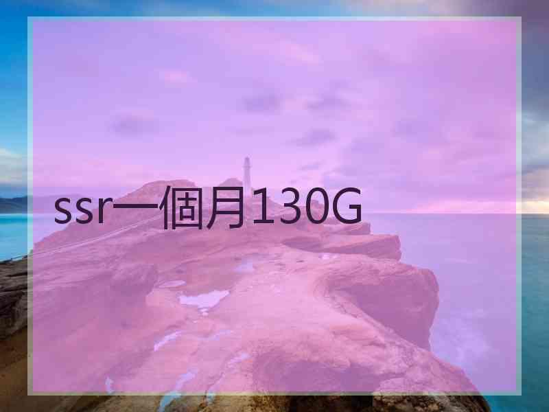 ssr一個月130G