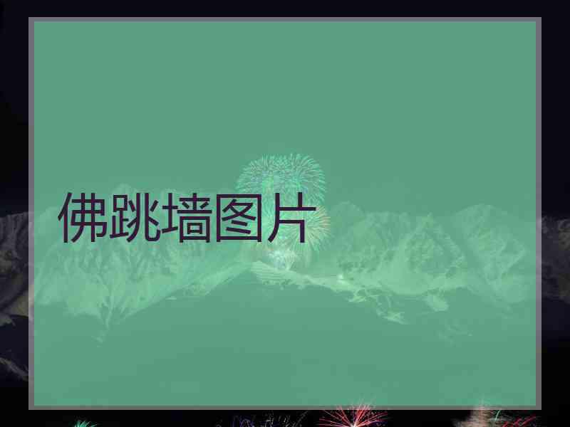 佛跳墙图片