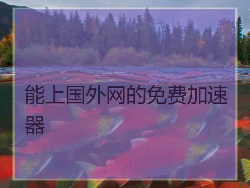 能上国外网的免费加速器