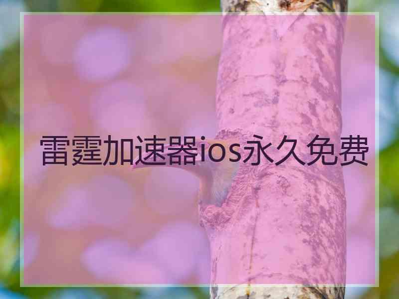 雷霆加速器ios永久免费
